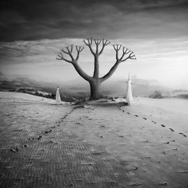 Photograph Dariusz Klimczak Eden on One Eyeland